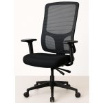 Cadeira de Escritório Tela PRYUS Back System – Cor Preto – 20099 META Móveis para Escritório em Anápolis Cadeira de Tela 12 Cadeira de Escritório Tela PRYUS Back System – Cor Preto – 20099 META Móveis para Escritório em Anápolis Cadeira de Tela 12